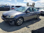 Honda Accord 2013
