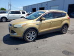 Ford Escape 2014
