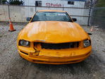 Ford Mustang 2007