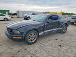 Ford Mustang 2005