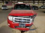 Ford Escape 2011