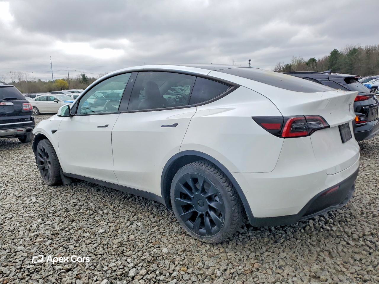 Tesla Model Y 2020