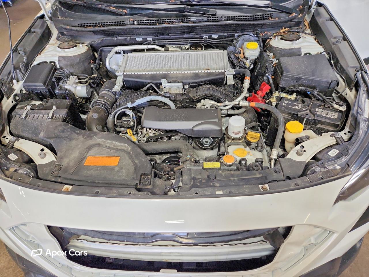 Subaru Outback 2024