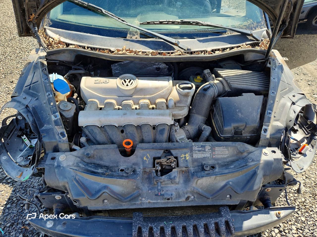 Volkswagen Beetle 2008
