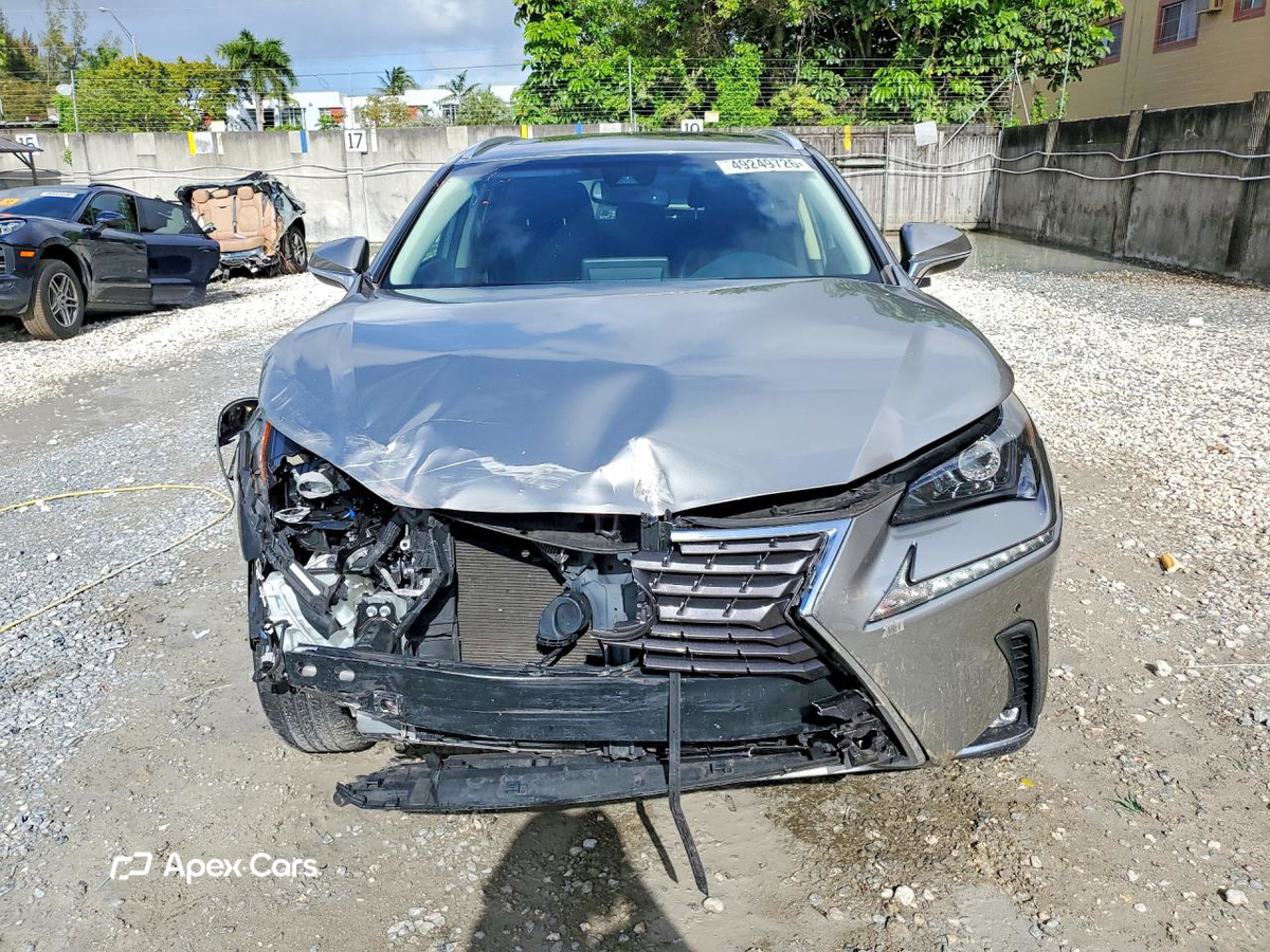 Lexus NX 2019