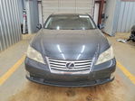 Lexus ES 2010