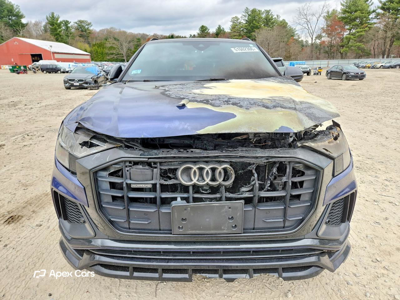 Audi Q8 2021