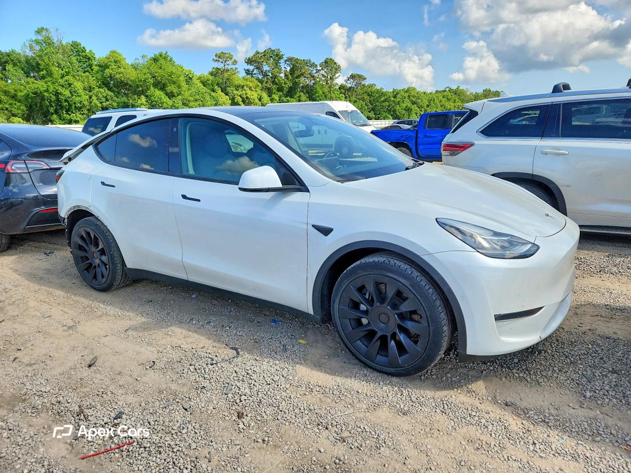 Tesla Model Y 2022