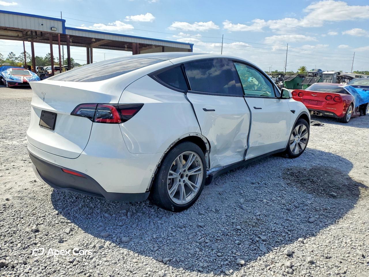 Tesla Model Y 2021