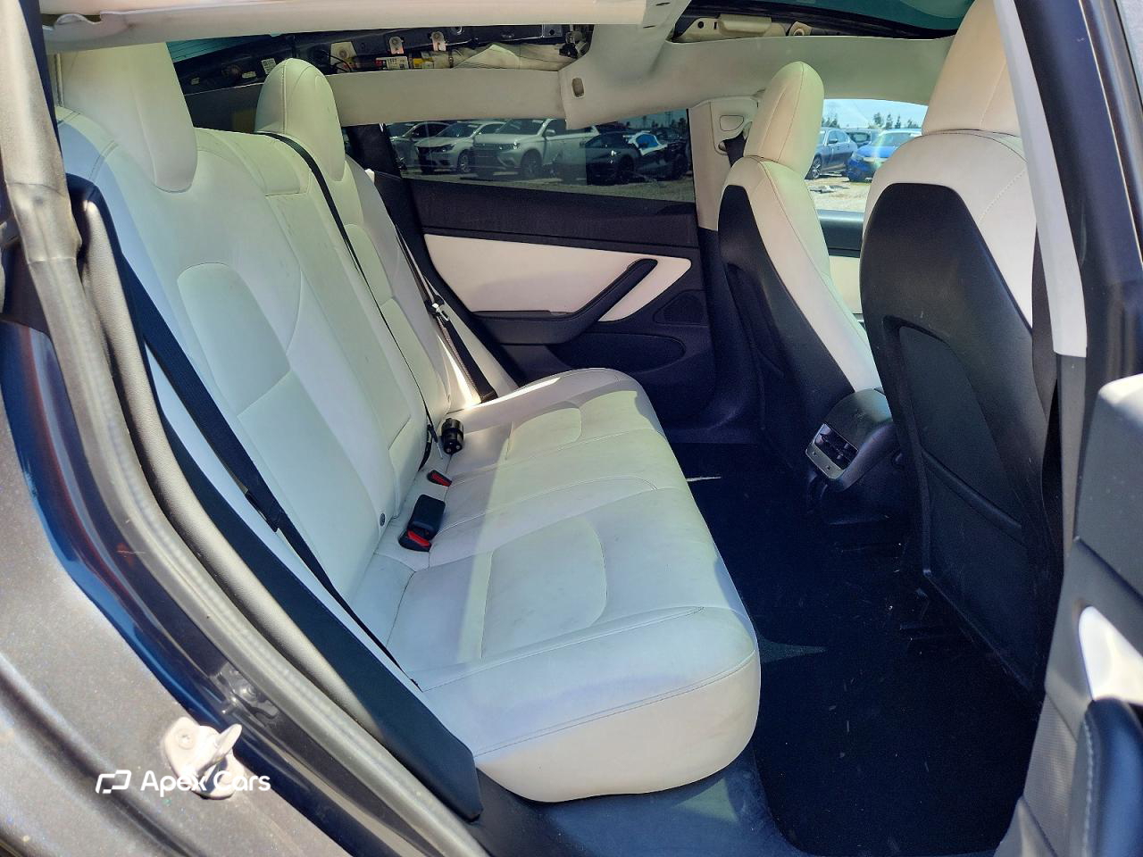 Tesla Model 3 2019