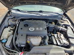 Nissan Altima 2003