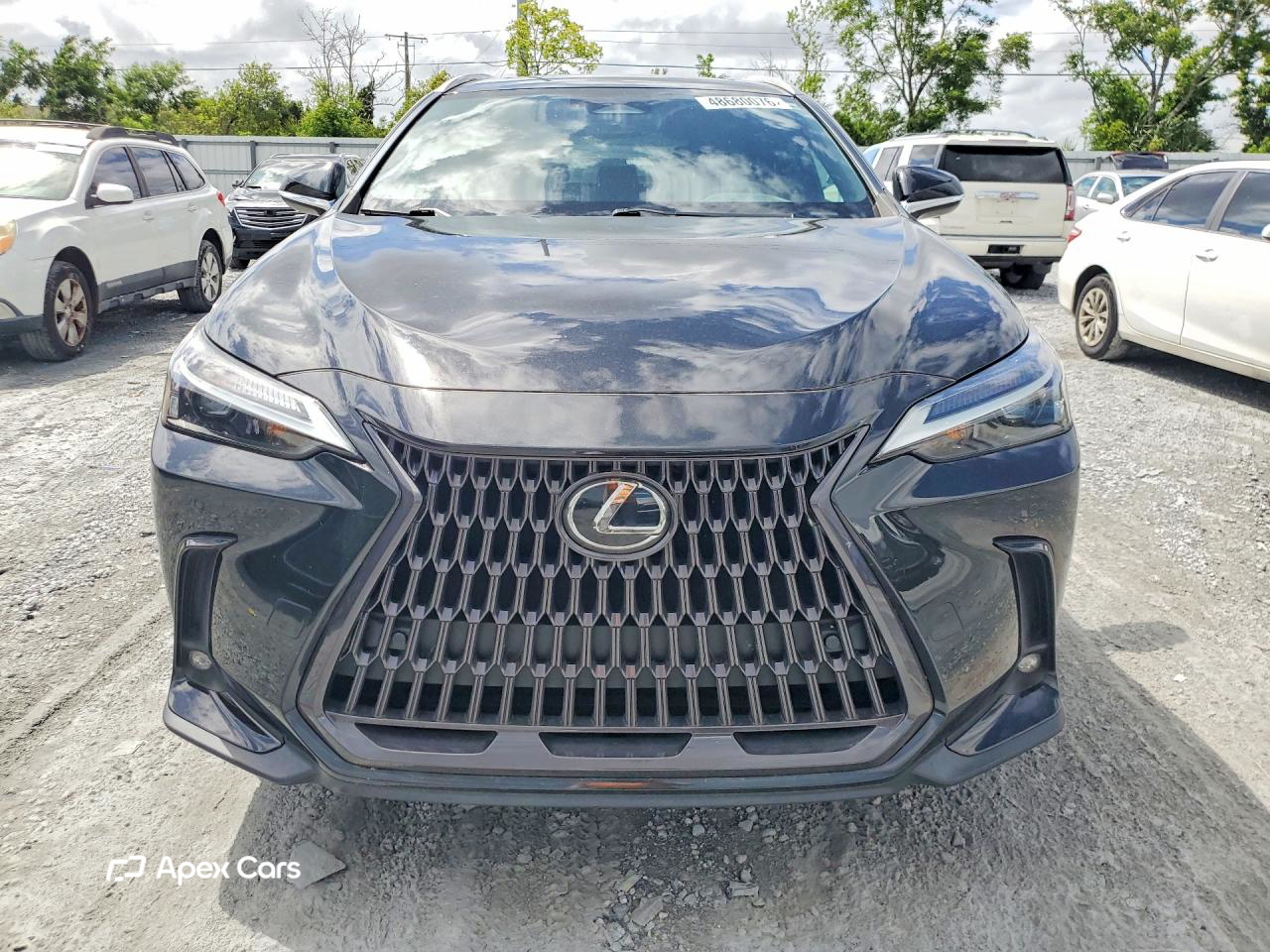Lexus NX 2023