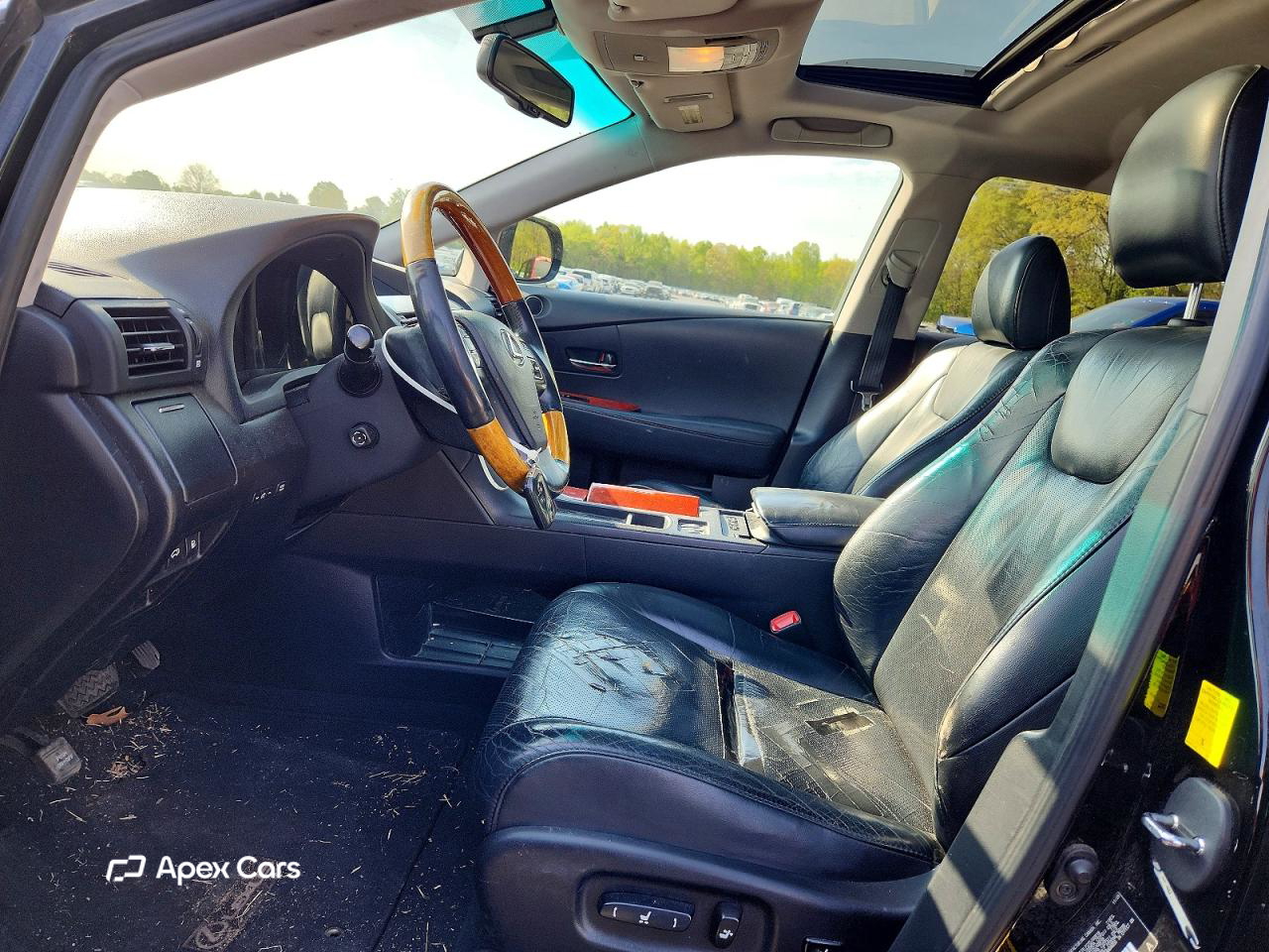 Lexus RX 2010