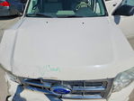 Ford Escape 2012