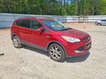 Ford Escape 2013