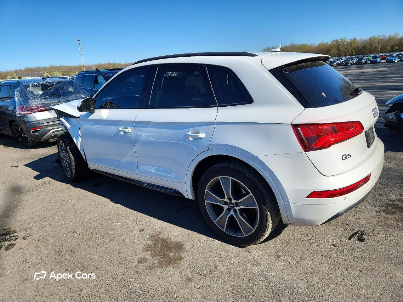 Audi Q5 2019