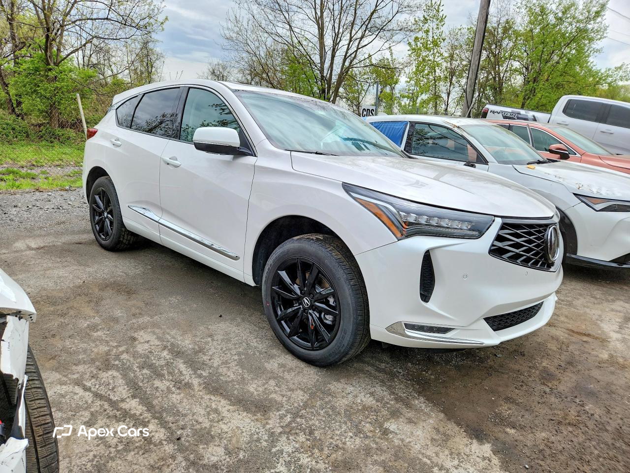 Acura RDX 2025