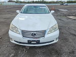 Lexus ES 2010