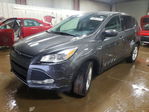 Ford Escape 2016