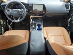 Lexus NX 2023