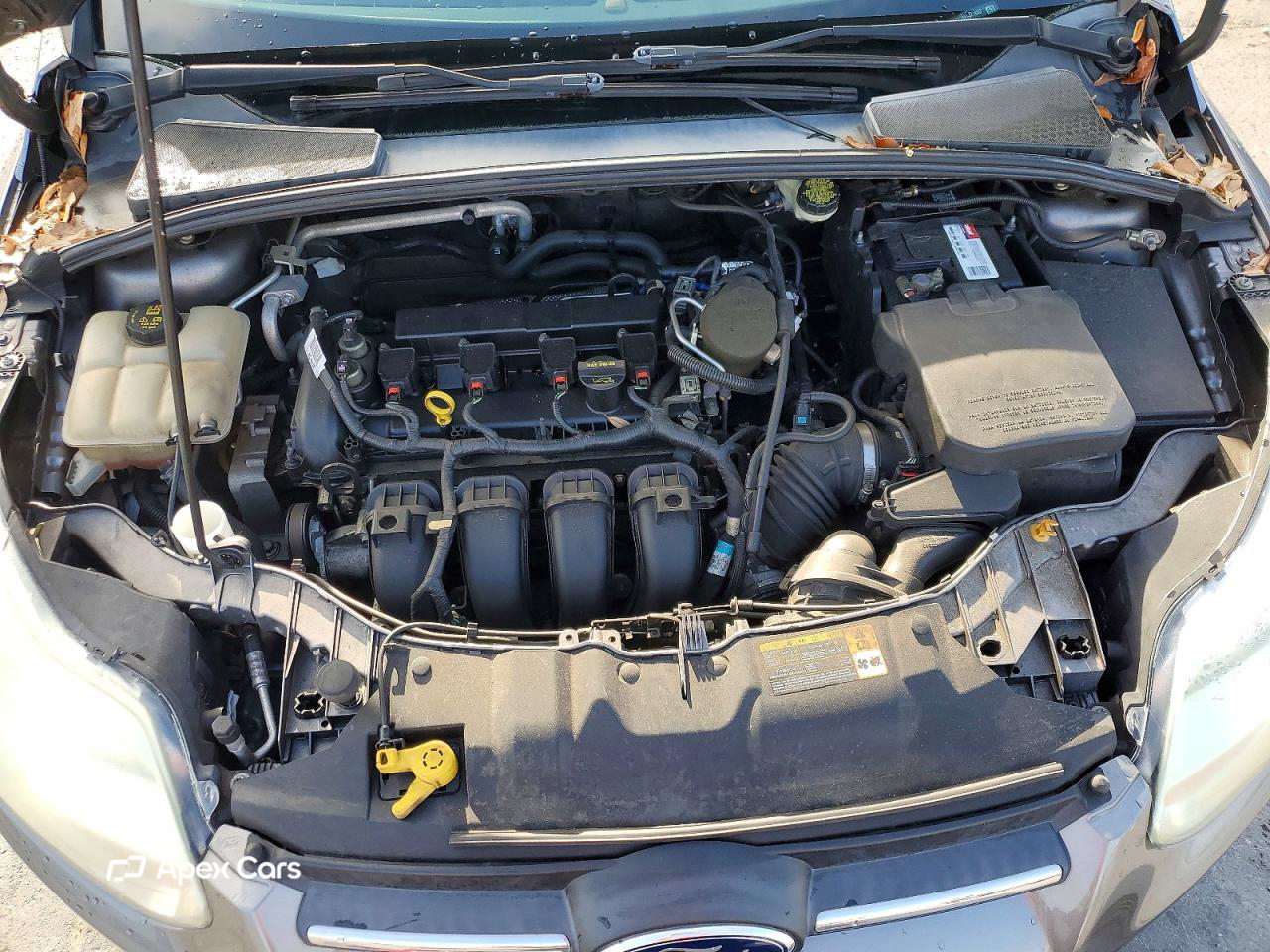 Ford Focus 2014