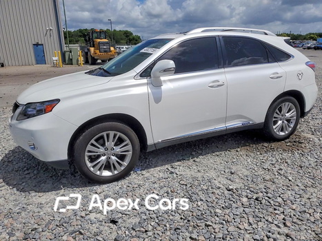 Lexus RX 2011 - Zdjęcie 1 z 13