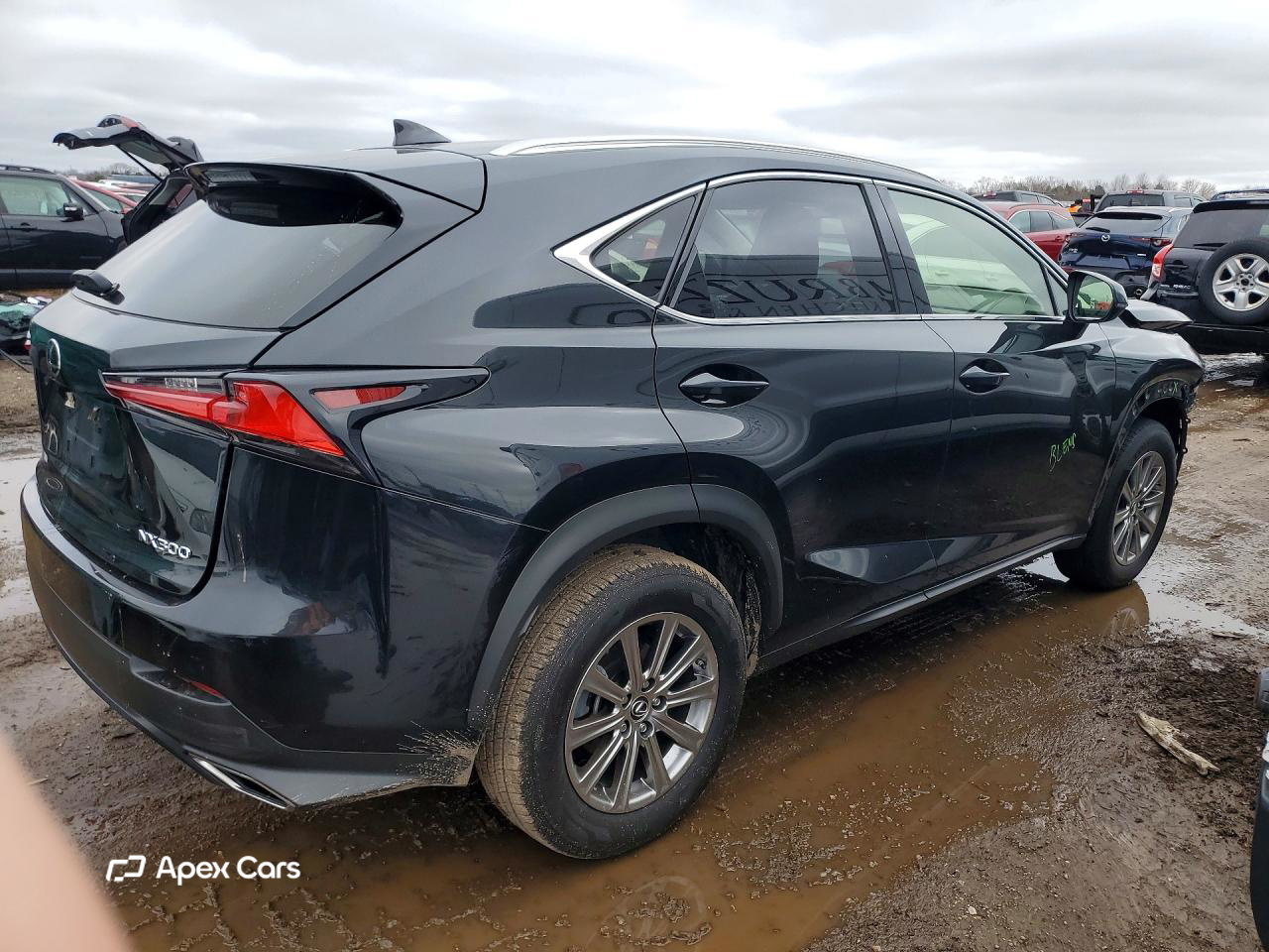 Lexus NX 2021