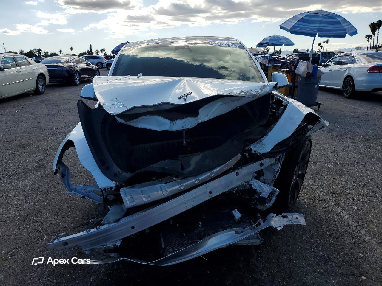 Tesla Model Y 2023