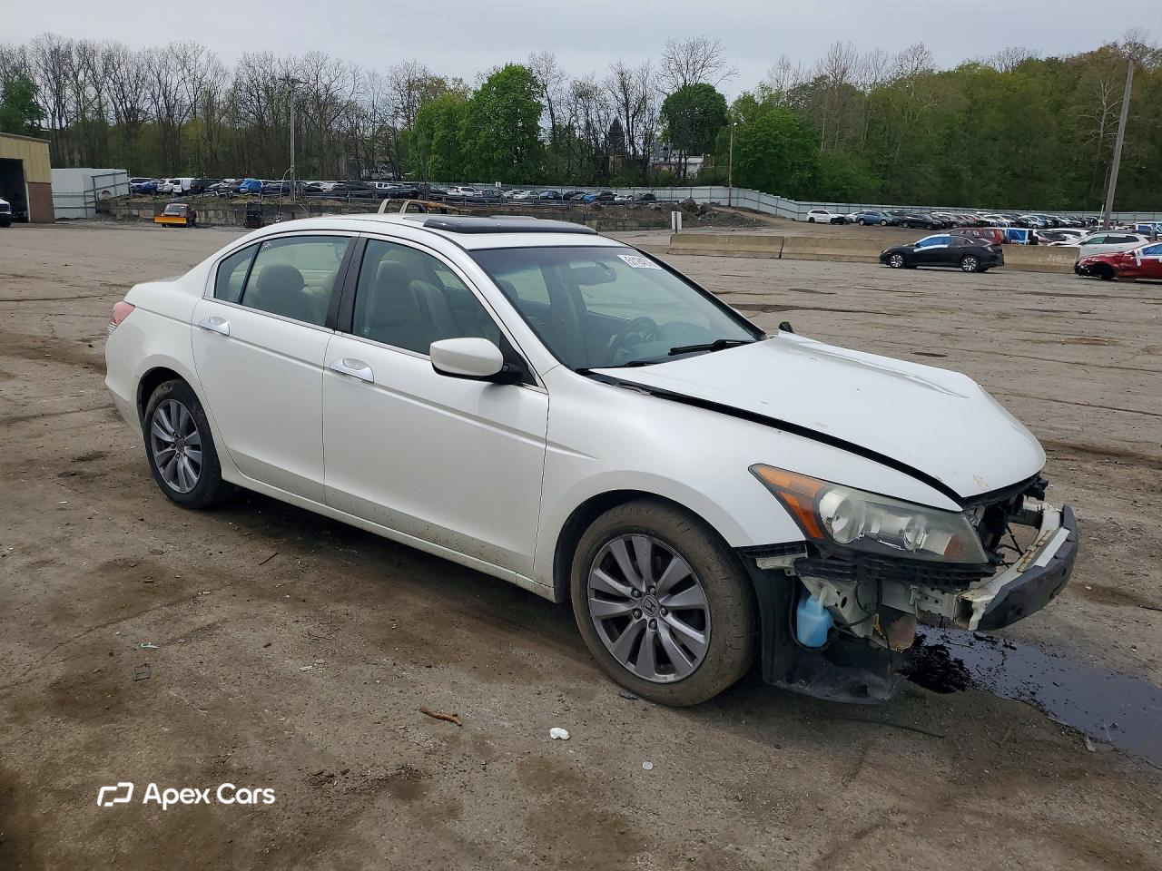 Honda Accord 2011