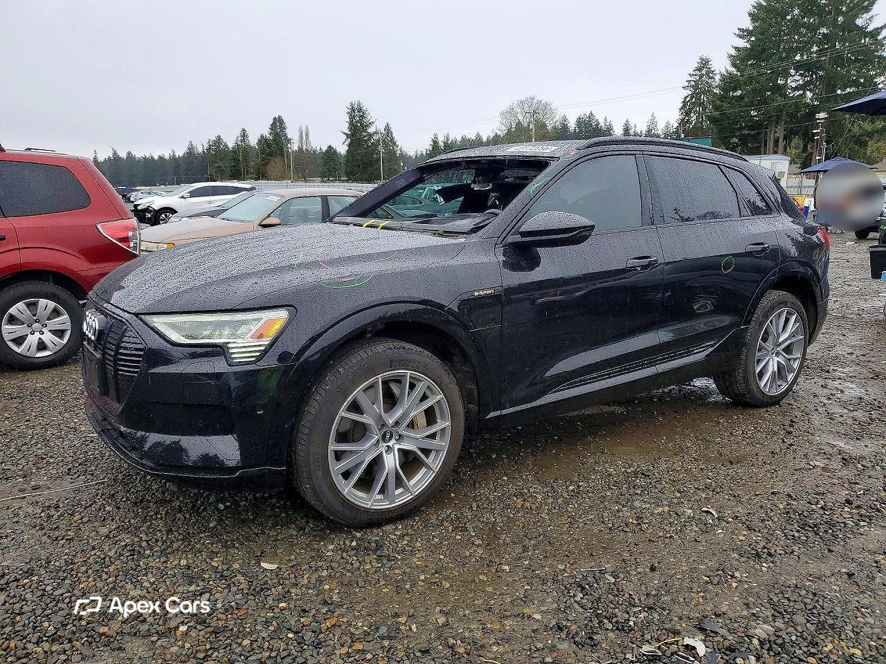 Audi e-tron 2021