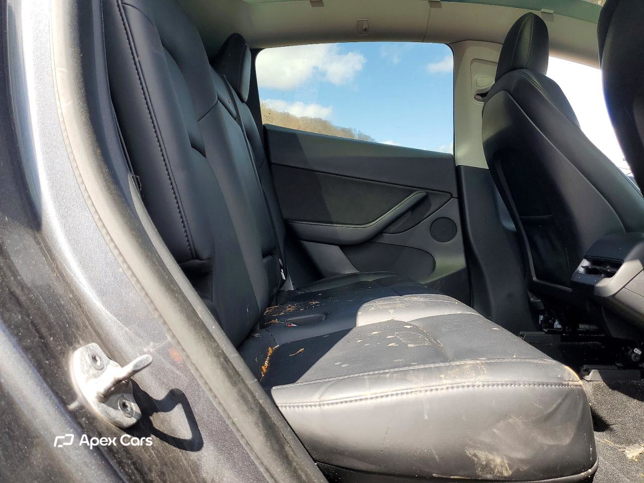 Tesla Model Y 2020