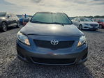 Toyota Corolla 2009