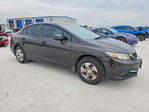 Honda Civic 2013