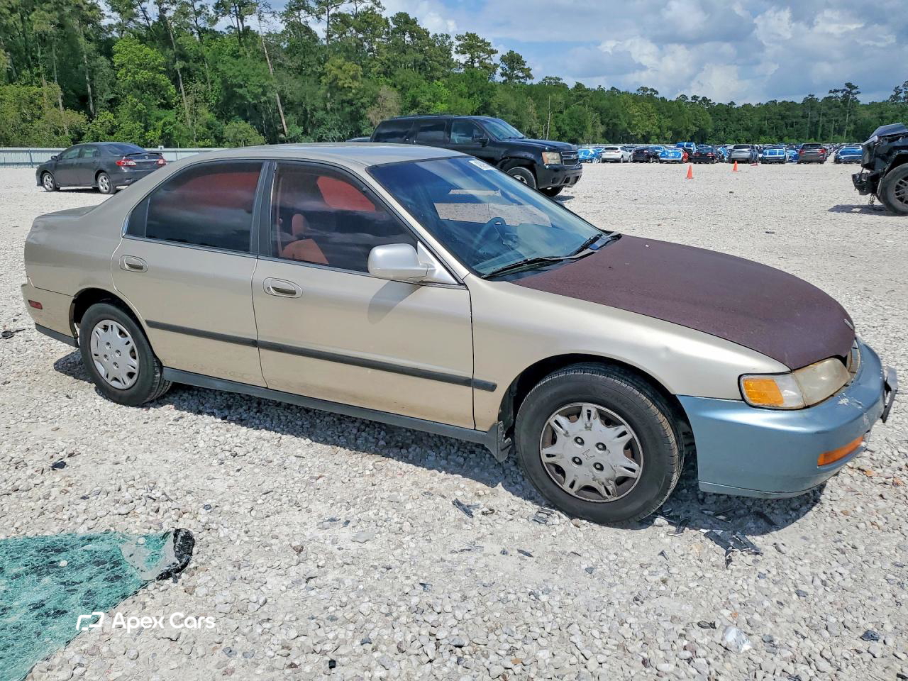 Honda Accord 1995