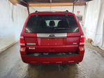 Ford Escape 2010