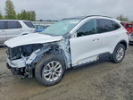 Ford Escape 2021