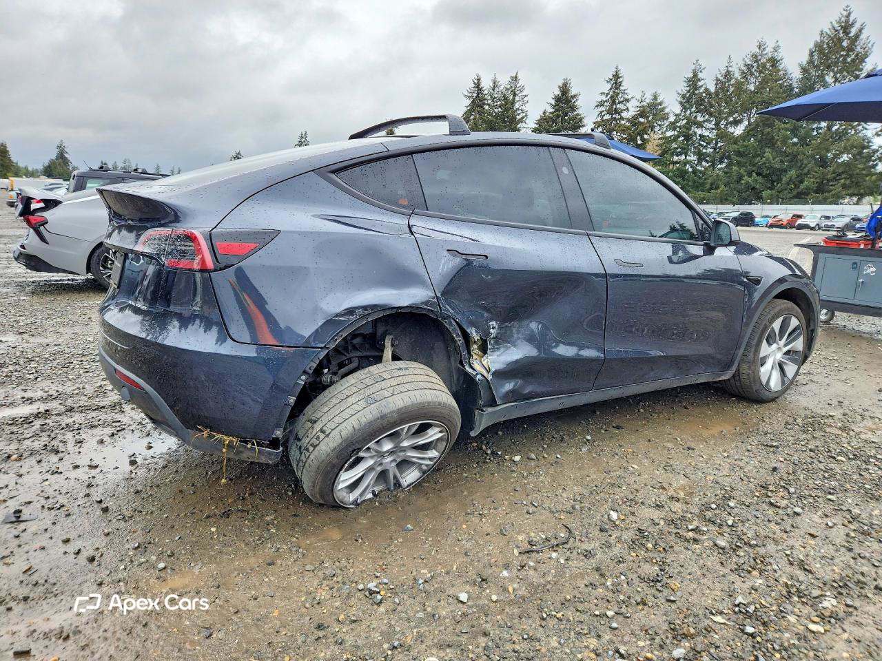 Tesla Model Y 2024