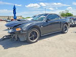 Ford Mustang 2004