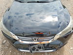 Honda Accord 2015