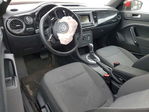 Volkswagen Beetle 2019
