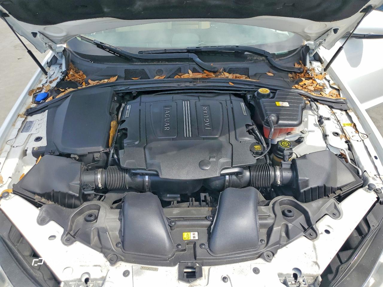 Jaguar XF 2013