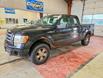 Ford F-150 2010
