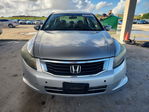 Honda Accord 2010