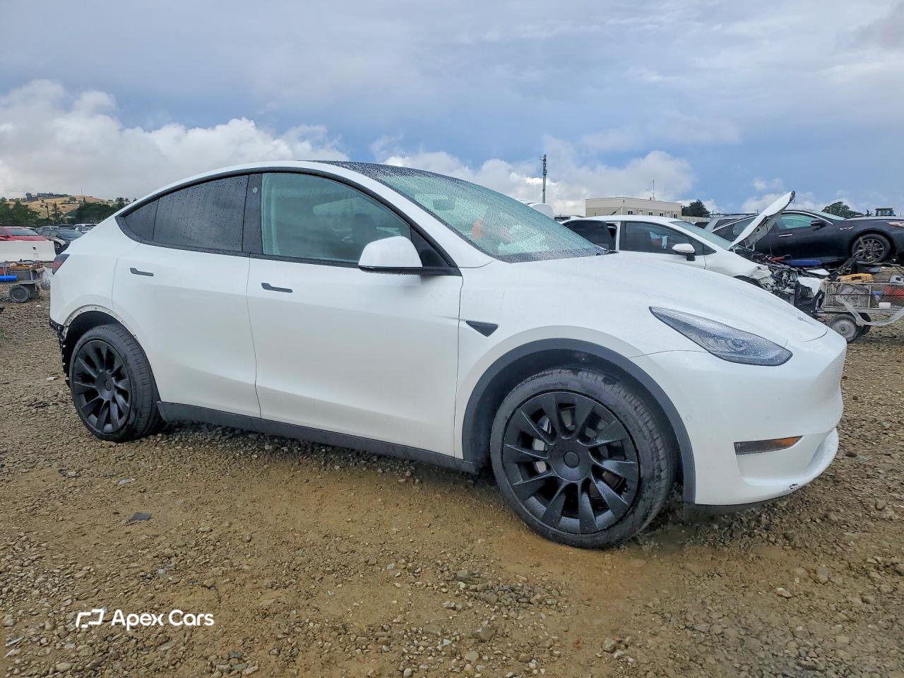 Tesla Model Y 2021