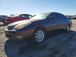 Lexus ES 2003
