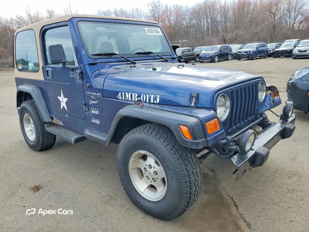 Jeep Wrangler 2001
