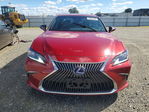 Lexus ES 2021