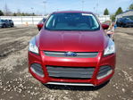 Ford Escape 2014