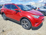 Toyota RAV 4 2017