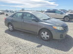 Toyota Corolla 2011